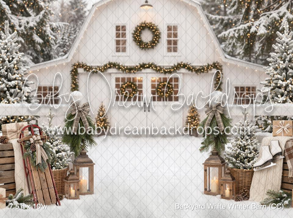Backyard White Winter Barn (CC)