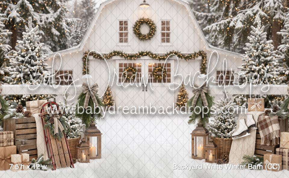 Backyard White Winter Barn (CC)