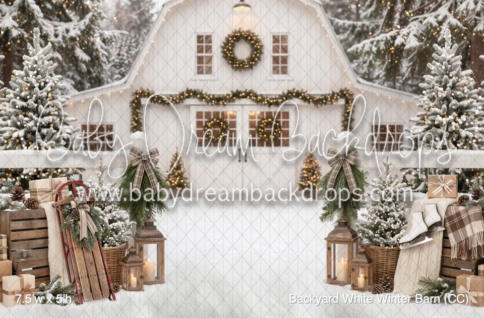Backyard White Winter Barn (CC)