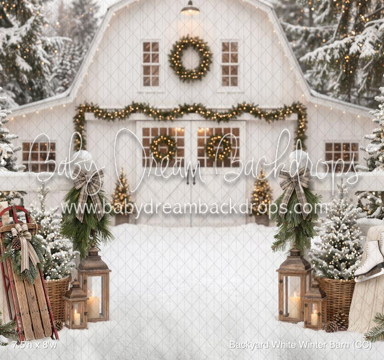 Backyard White Winter Barn (CC)