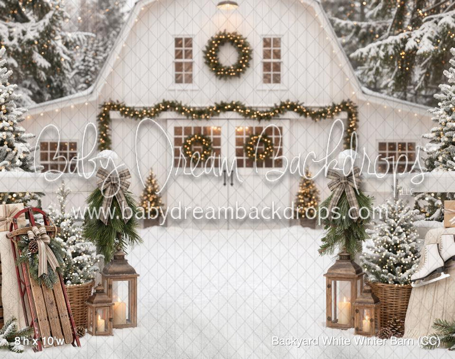 Backyard White Winter Barn (CC)