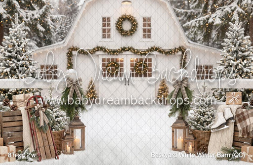 Backyard White Winter Barn (CC)