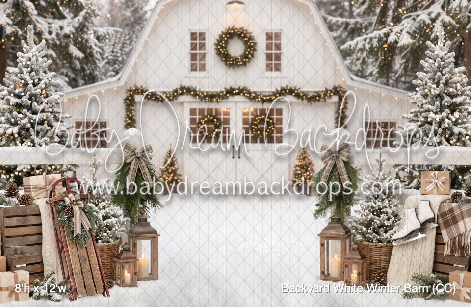 Backyard White Winter Barn (CC)