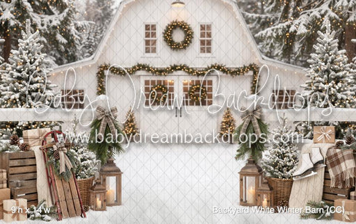 Backyard White Winter Barn (CC)