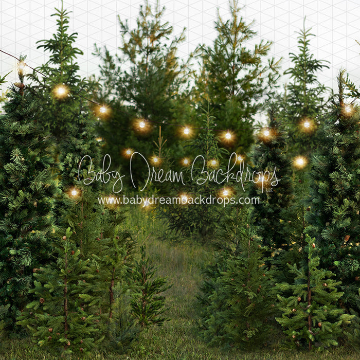 Backyard Tree Farm (String Lights)