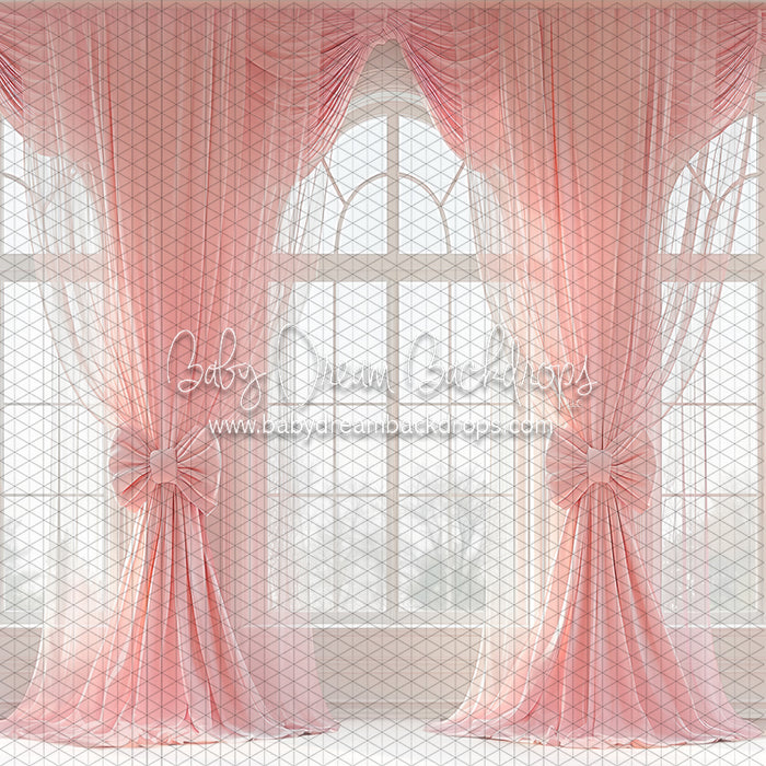 Ballerina Beauty Windows (CC)