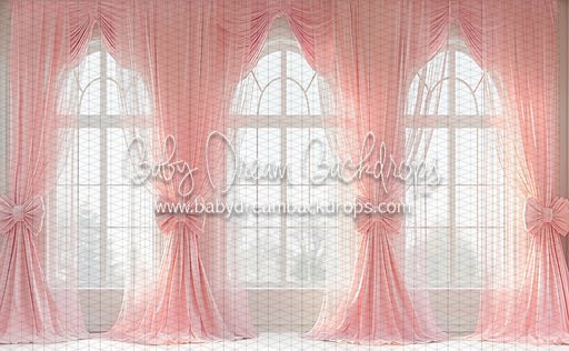 Ballerina Beauty Windows (CC)