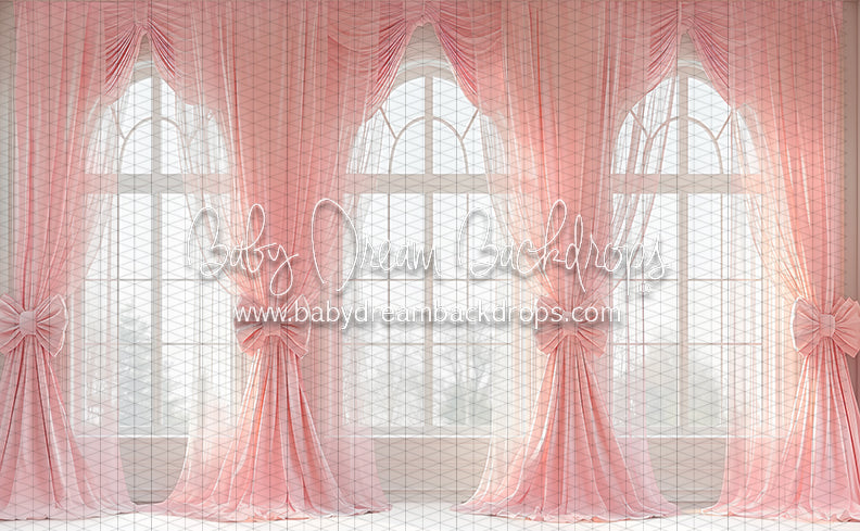 Ballerina Beauty Windows (CC)