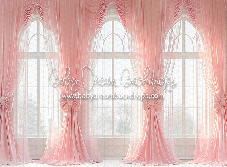 Ballerina Beauty Windows (CC)