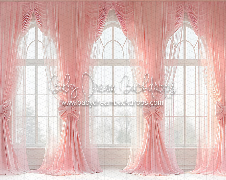 Ballerina Beauty Windows (CC)