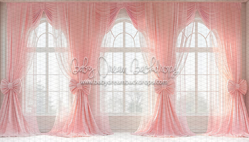 Ballerina Beauty Windows (CC)