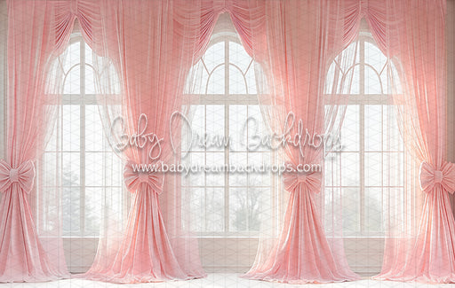 Ballerina Beauty Windows (CC)