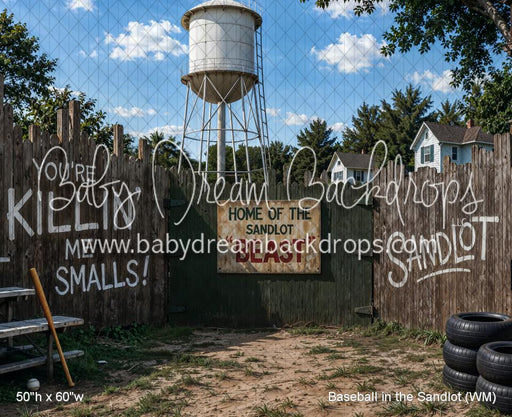 Baseball in the Sandlot (WM)