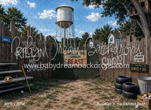 Baseball in the Sandlot (WM)