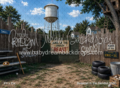 Baseball in the Sandlot (WM)