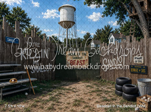 Baseball in the Sandlot (WM)