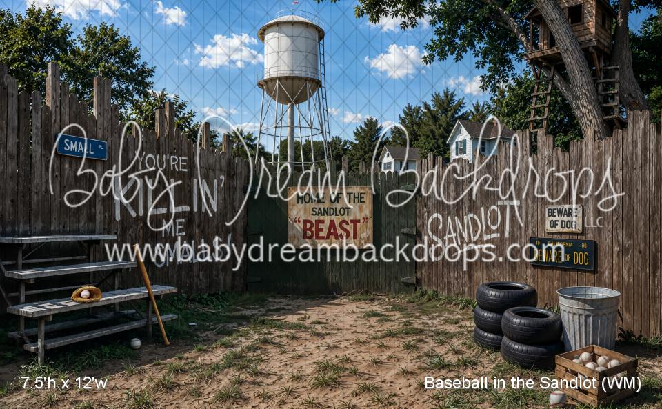 Baseball in the Sandlot (WM)