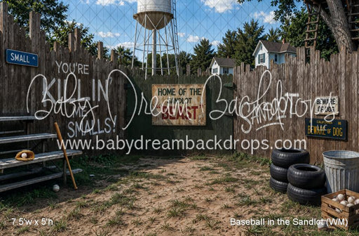 Baseball in the Sandlot (WM)