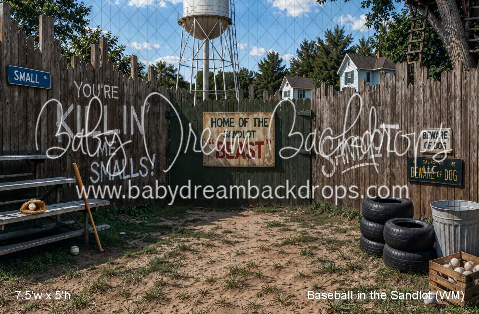 Baseball in the Sandlot (WM)