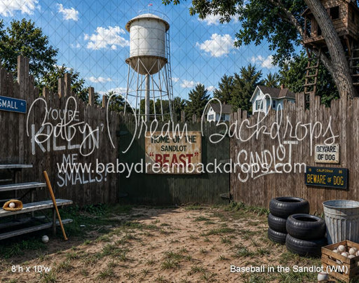 Baseball in the Sandlot (WM)