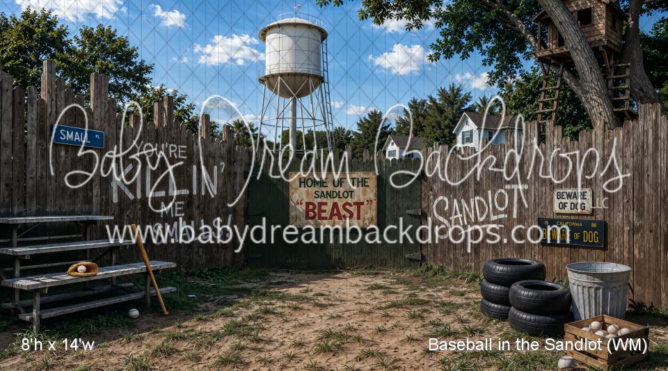 Baseball in the Sandlot (WM)