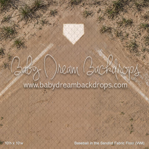 Baseball in the Sandlot Fabric Floor (WM)