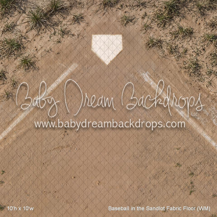 Baseball in the Sandlot Fabric Floor (WM)