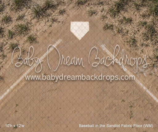 Baseball in the Sandlot Fabric Floor (WM)