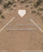 Baseball in the Sandlot Fabric Floor (WM)