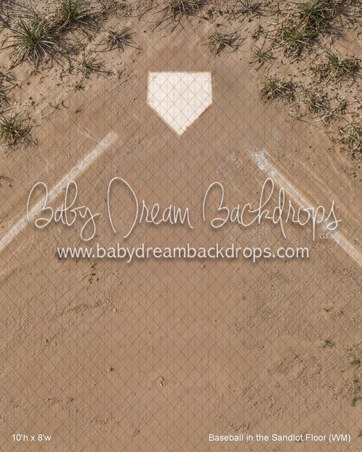 Baseball in the Sandlot Fabric Floor (WM)