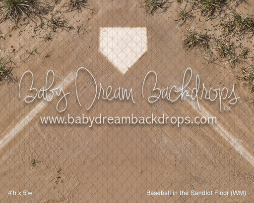 Baseball in the Sandlot Floor (WM)