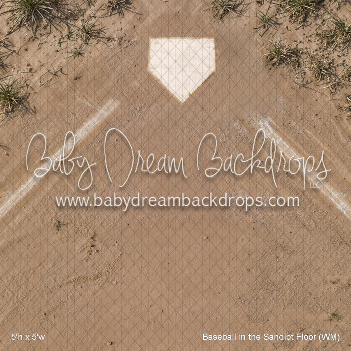 Baseball in the Sandlot Floor (WM)