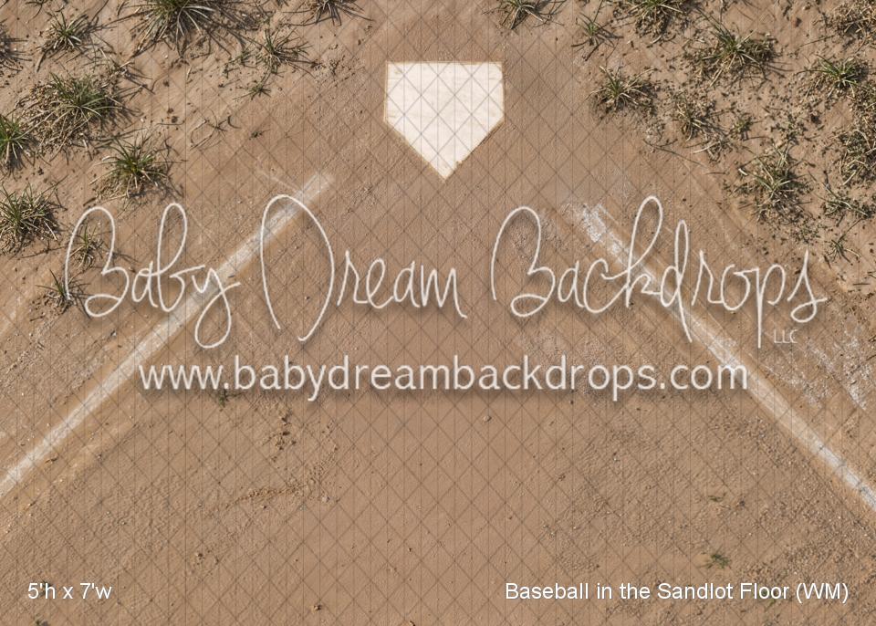 Baseball in the Sandlot Fabric Floor (WM)