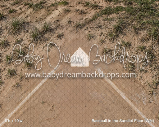 Baseball in the Sandlot Floor (WM)