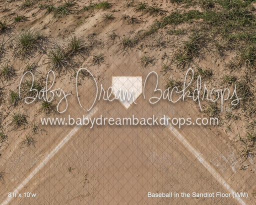 Baseball in the Sandlot Floor (WM)
