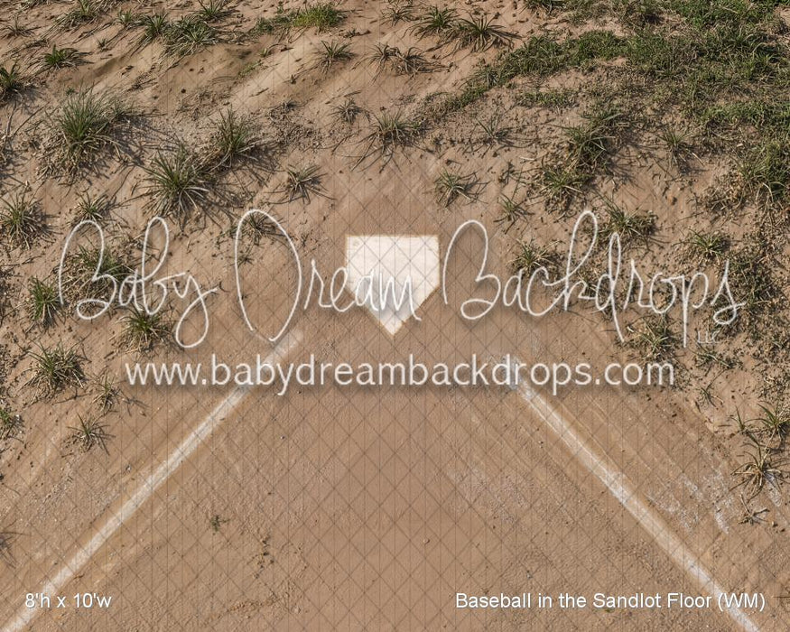 Baseball in the Sandlot Fabric Floor (WM)