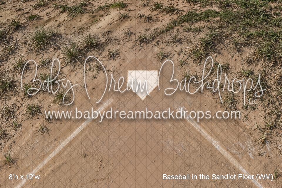 Baseball in the Sandlot Floor (WM)
