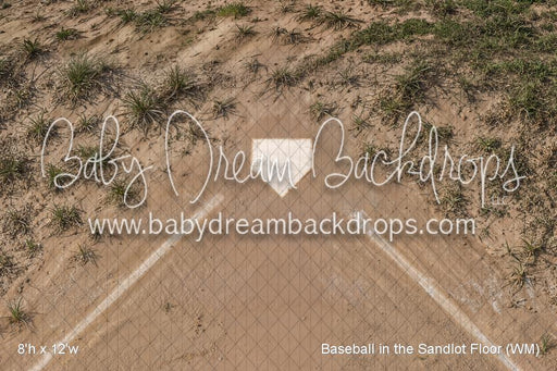 Baseball in the Sandlot Fabric Floor (WM)