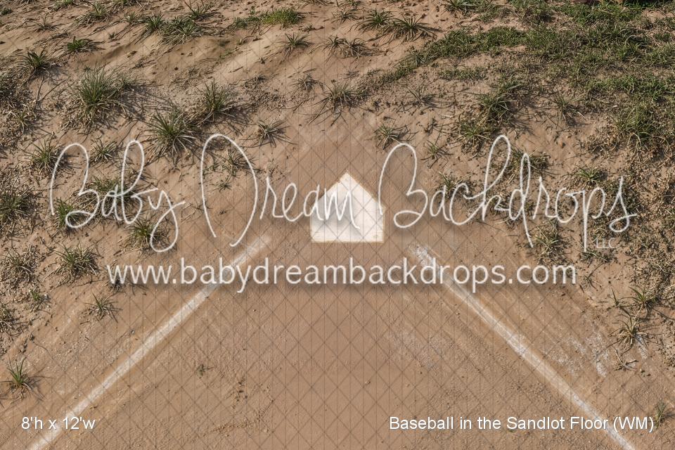 Baseball in the Sandlot Floor (WM)
