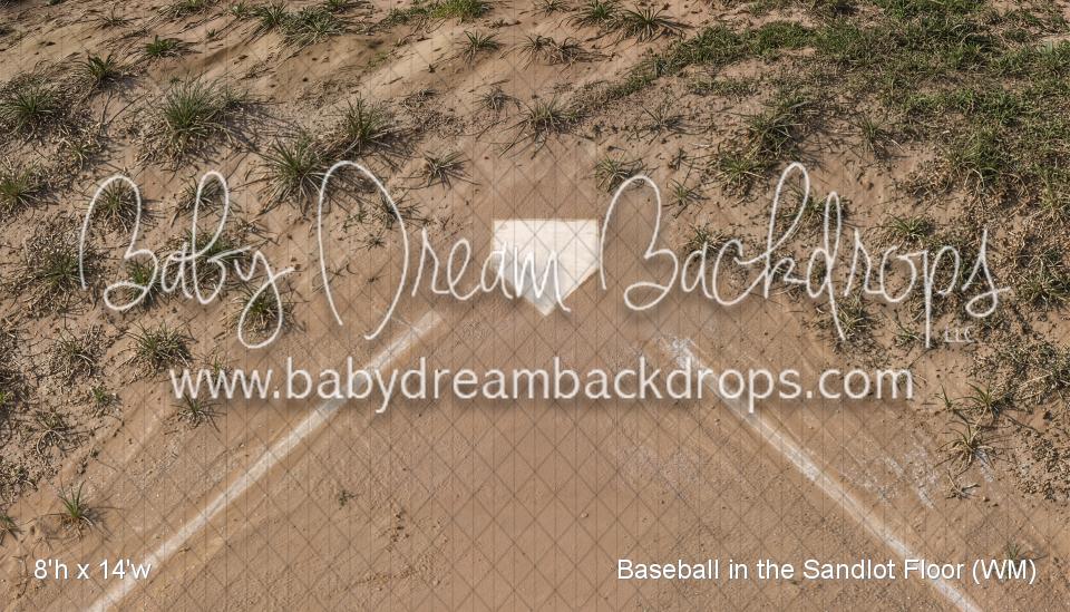Baseball in the Sandlot Floor (WM)
