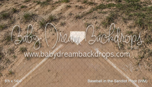 Baseball in the Sandlot Fabric Floor (WM)