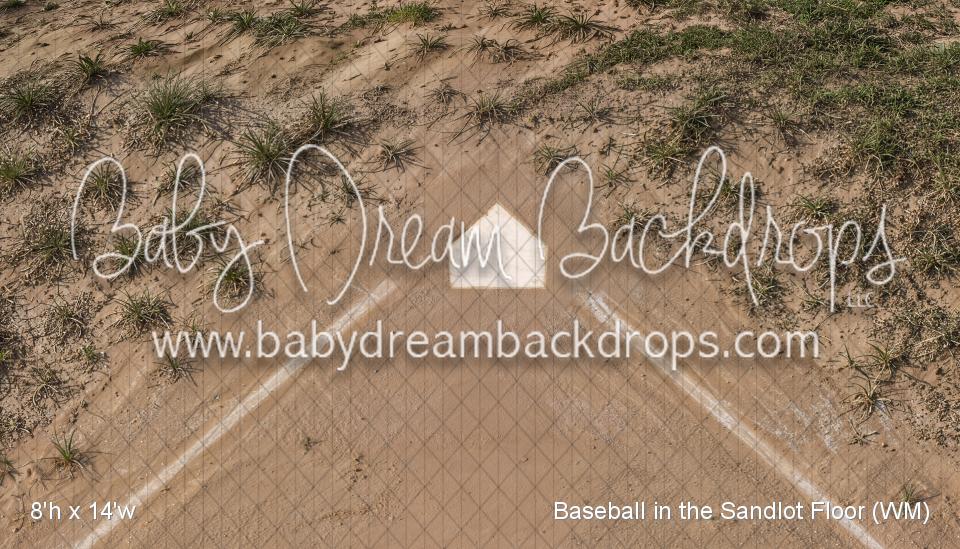 Baseball in the Sandlot Floor (WM)