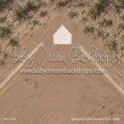 Baseball in the Sandlot Floor (WM)
