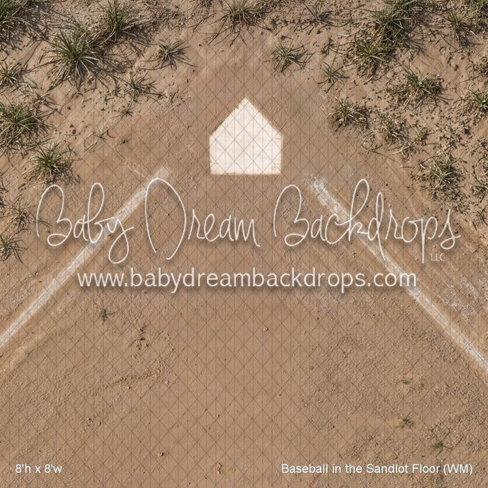 Baseball in the Sandlot Floor (WM)
