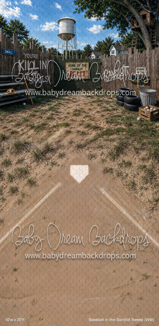 Baseball in the Sandlot Sweep (WM)
