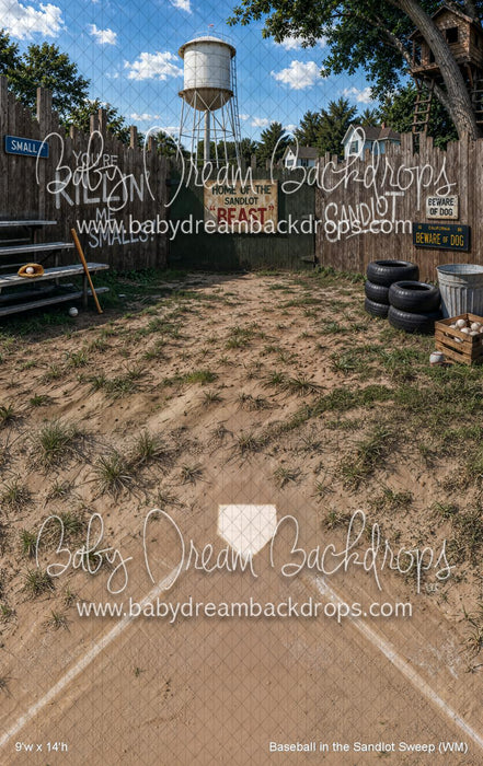 Baseball in the Sandlot Sweep (WM)