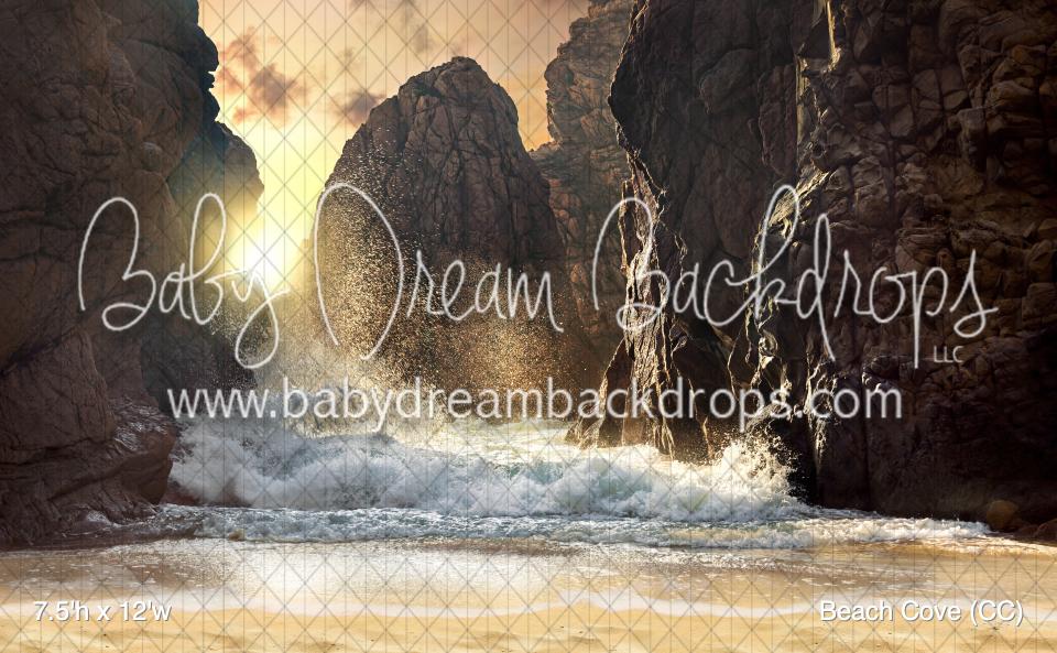 Beach Cove