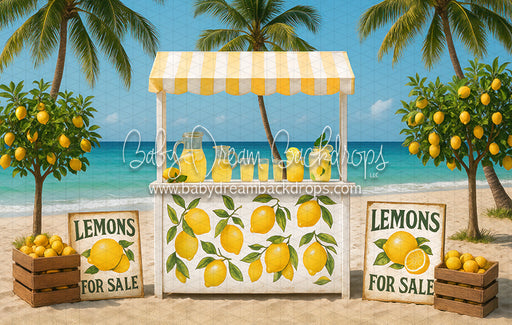 Beachside Lemonade Stand (CC)
