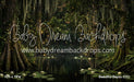Beautiful Bayou (CC)