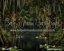 Beautiful Bayou (CC)